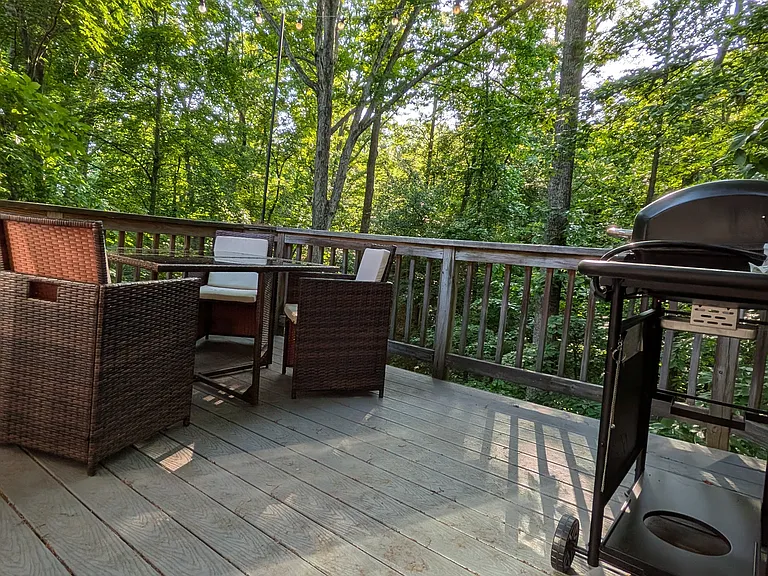 14906 Laurel Point Ln — Photo 8