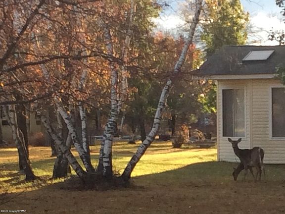4th image of 100 Mindy Ln