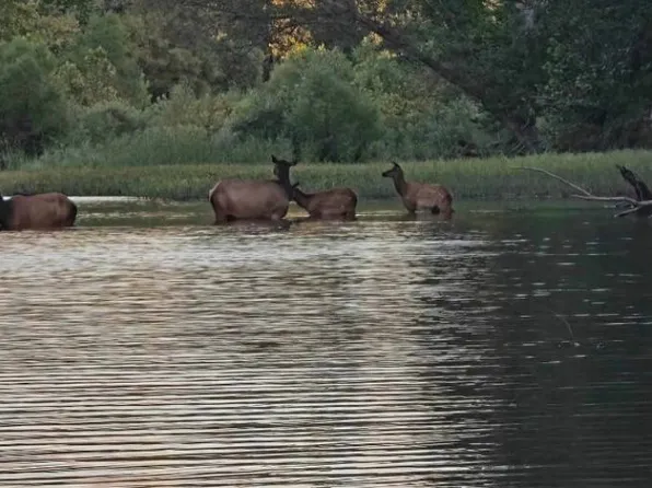 TRACT Two N 4225 Rd, Clayton, OK 74536