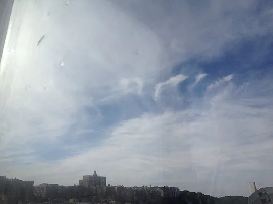 Rented by Bohemia Realty Group | media 17