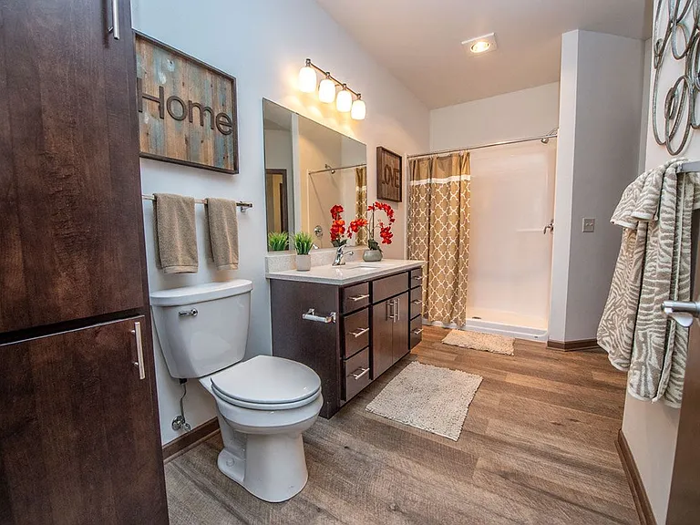 Large bathrooms with step-in showers