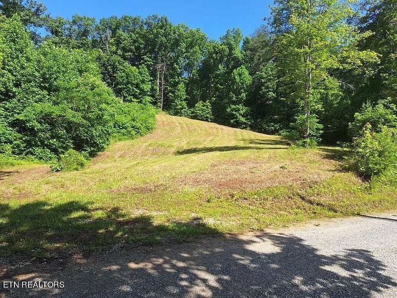 1st image of 319 Wildcattrail Trl