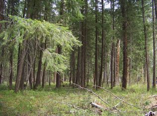 18 Cottonwood Rd, Winthrop, WA 98862