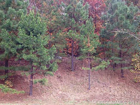 2nd image of 4520 Granite Hill Dr