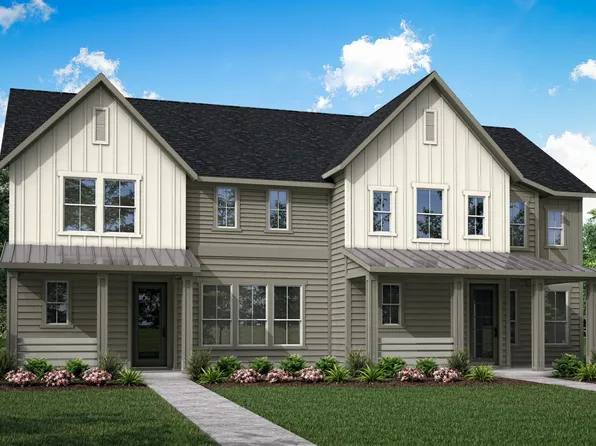 Chicory Plan, Terrace Collection at Harvest