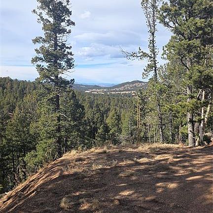 2nd image of 169 Osoeola Rd