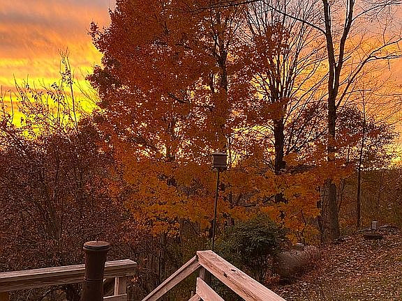 Sunset in the Fall