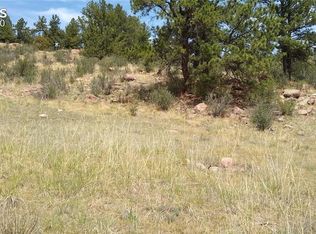 713 Slater Creek Rd, Florissant, CO 80816