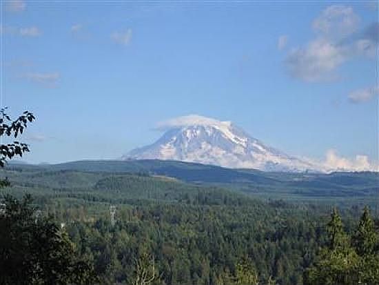 Mount Rainier View