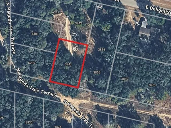 3941 E PEGGY STREET LOT 24, HERNANDO, FL 34442