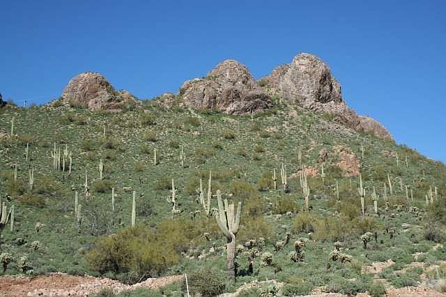 2nd image of 5371 S Mohave Sage Dr