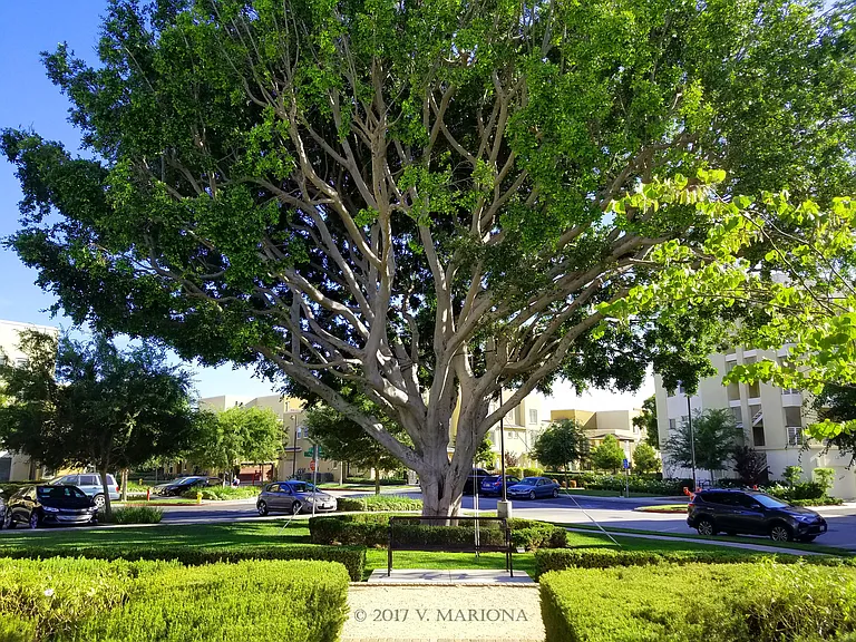 Three Sixty features several green areas within the community