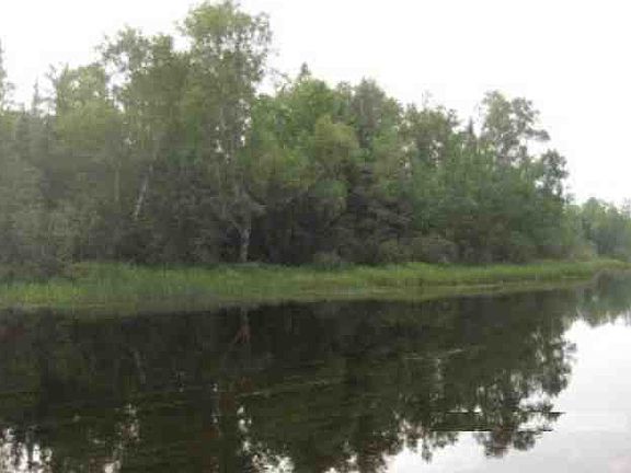 Frontage on Turtle River