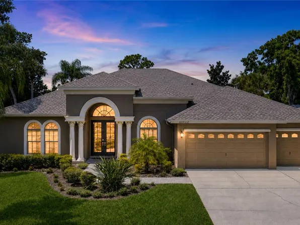 20622 BROADWATER DRIVE, LAND O LAKES, FL 34638