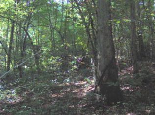 0 Gospel Rd, Bryson City, NC 28713