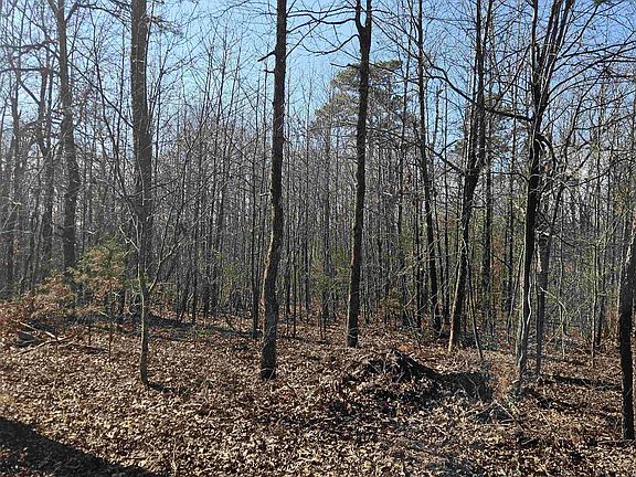 5th image of 289 Old Stagecoach Rd