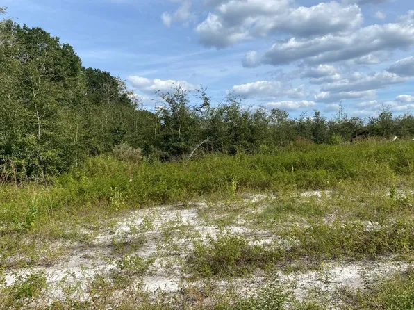 2387 NW Highlands Rd, Mayo, FL 32066