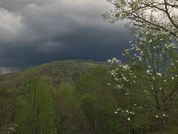 3rd image of 643 Courtney Ln