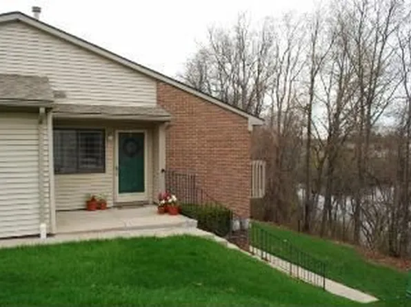 378 Spring Brooke Dr, Brighton, MI 48116