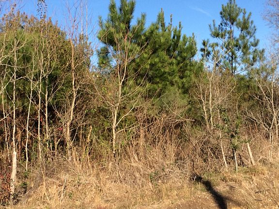 2nd image of Demarco Ln