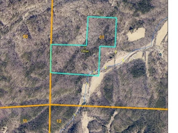 10853 Cordia Hollow Rd, Richwoods, MO 63071