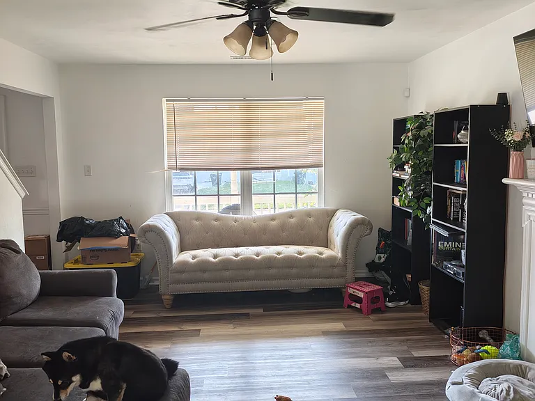 110 Laurens Ln — Photo 3
