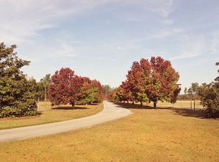 2758 W Old Number Four Hwy, Olanta, SC 29114