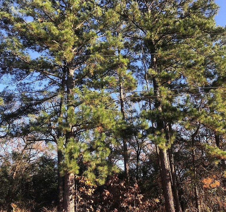 1st image of LOT 23 Autumn Woods Trl
