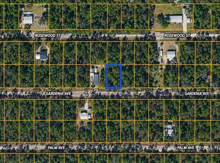 120 Gardenia Ave, Georgetown, FL 32139