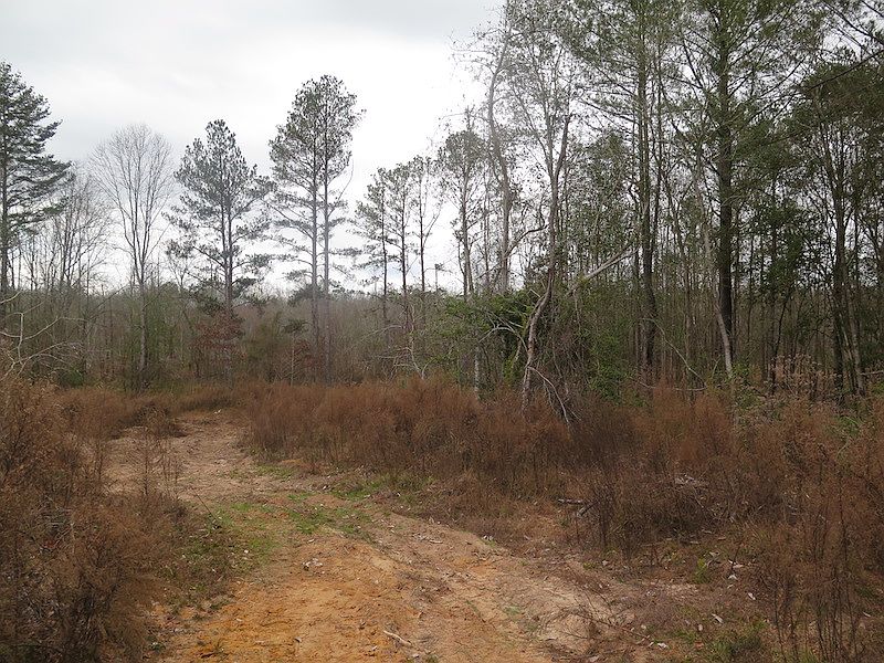 1st image of McFarland Rd