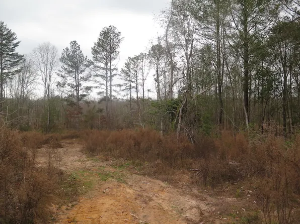 McFarland Rd, Heidelberg, MS 39439