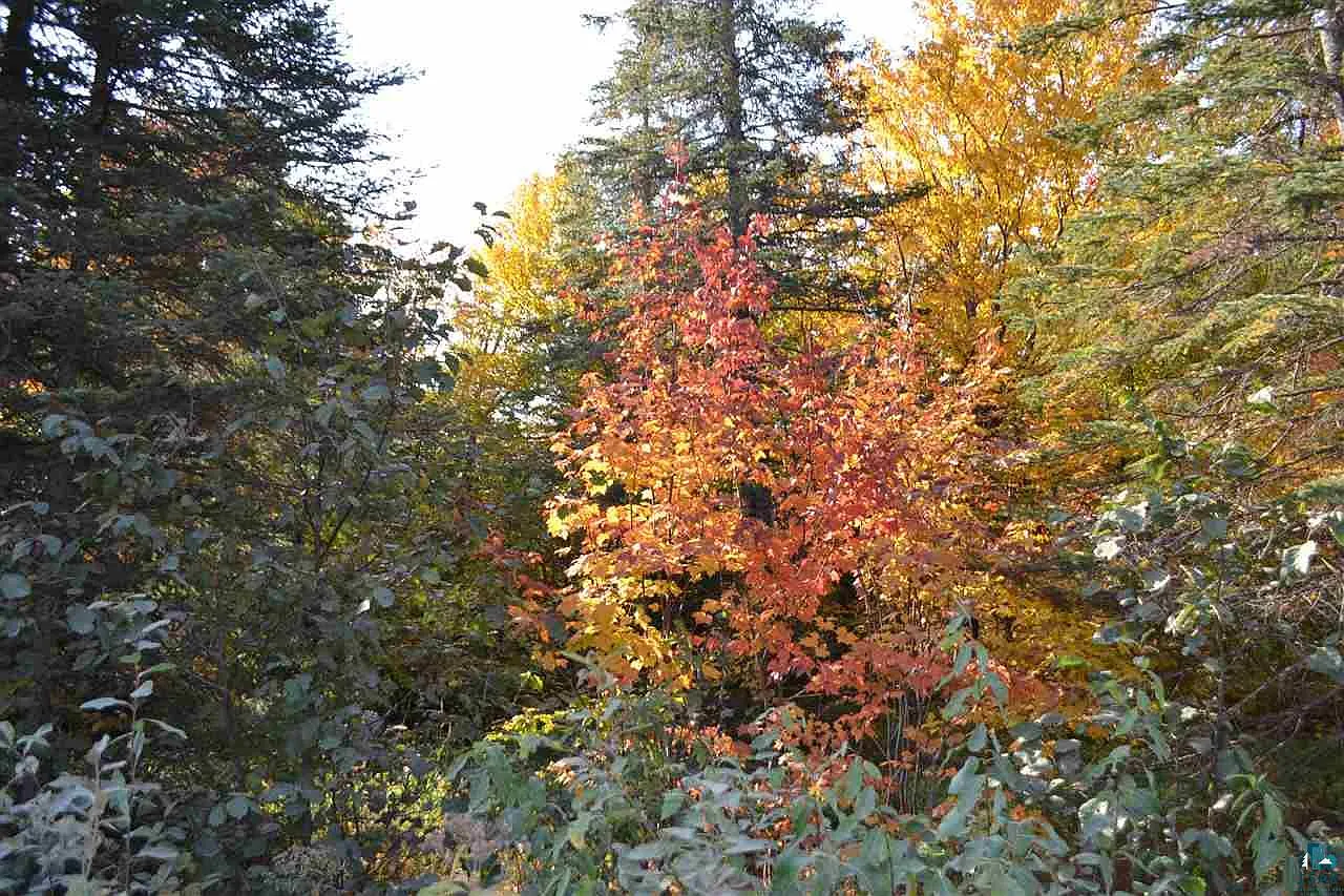 Xxx Cramer Rd photo 1