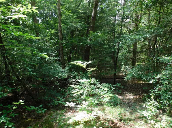 0 Old Highway 56, Coalmont, TN 37313