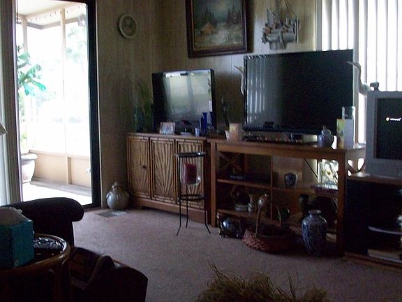 5th image of 811 Tarpon Glen Ln