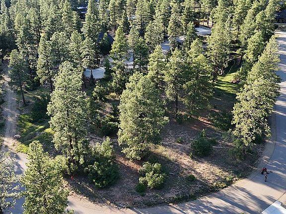 3rd image of 91 Engine Creek Court
