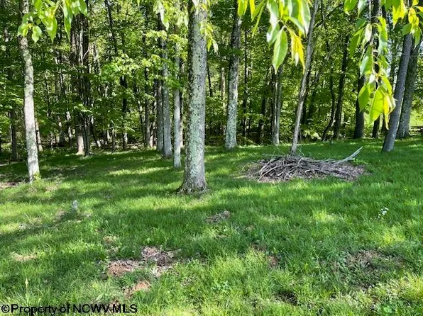 1 Pleasant Valley Dr, Reedsville, WV 26547