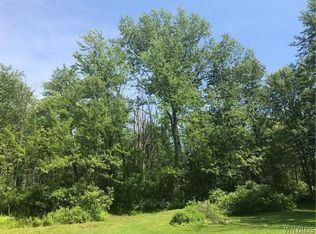 Maple Rd #22, Akron, NY 14001