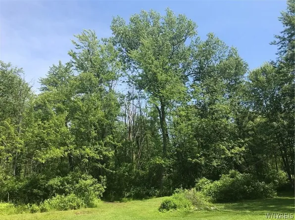 Maple Rd #22, Akron, NY 14001