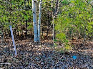 LOT 14 Valley Ct, Ellijay, GA 30540