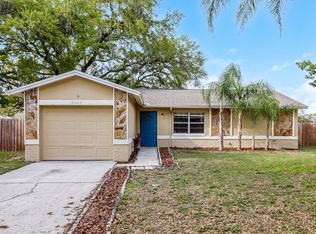 14609 Knoll Ridge Dr, Tampa, FL 33625