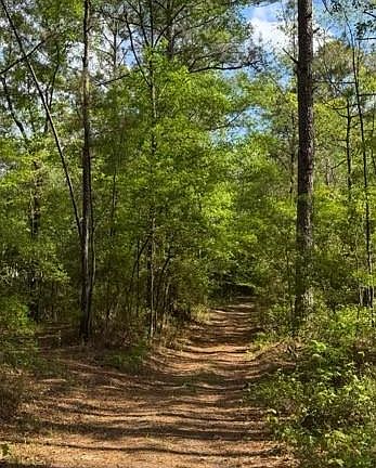 2nd image of 0 Gordy Rd