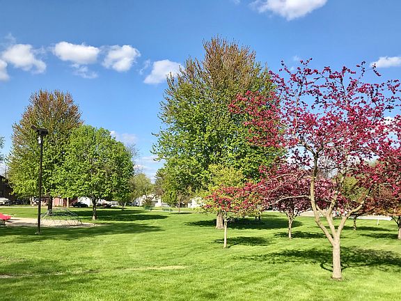 Knudson Park