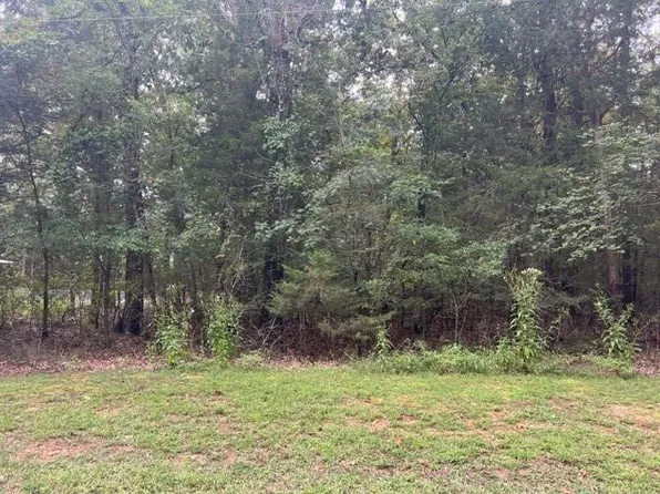 Lots 30&31 W Elm St, Lead Hill, AR 72644