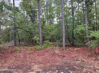 4 Blue Water Ct, Wagram, NC 28396