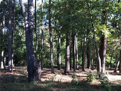 Forfar Dr #12/13, Bella Vista, AR, 72715