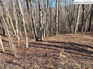 16 Jackson Ridge Rd, Boone, NC 28607