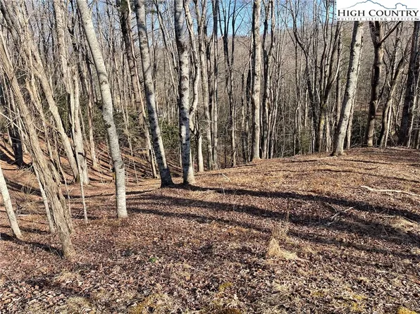 16 Jackson Ridge Road, Boone, NC 28607