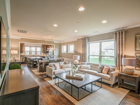 Model Representation