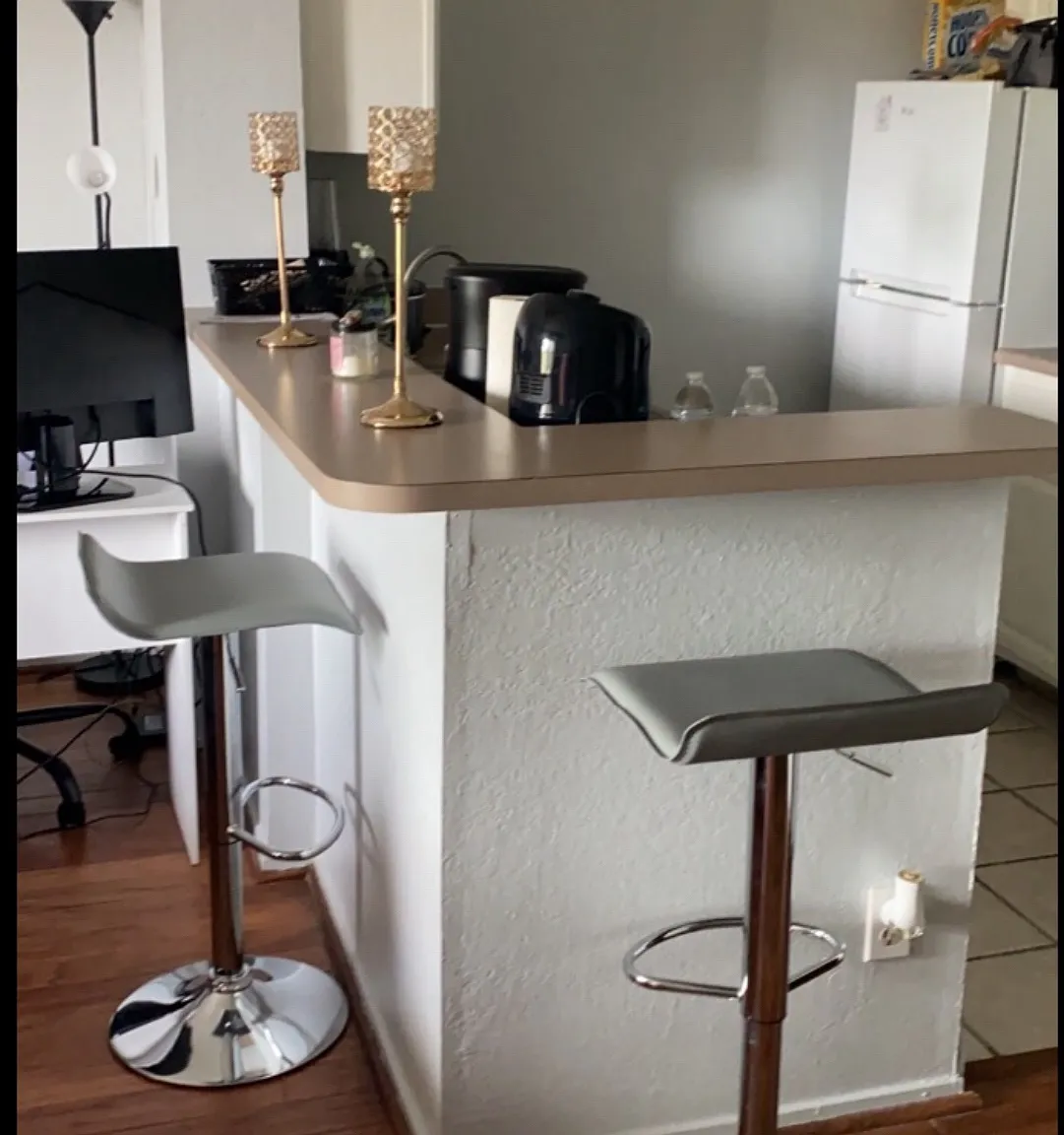 Studio, 496 sqft, $1,650 — Photo 2