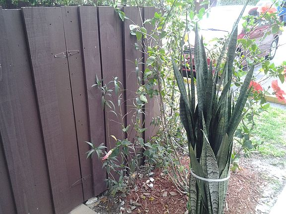 4th image of 3200 NW 5th Ter APT 16